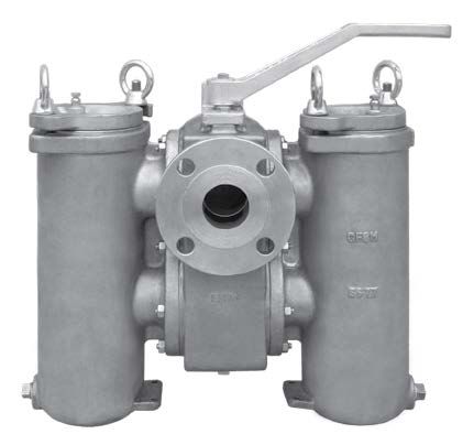 DS695I0600 Duplex Strainer